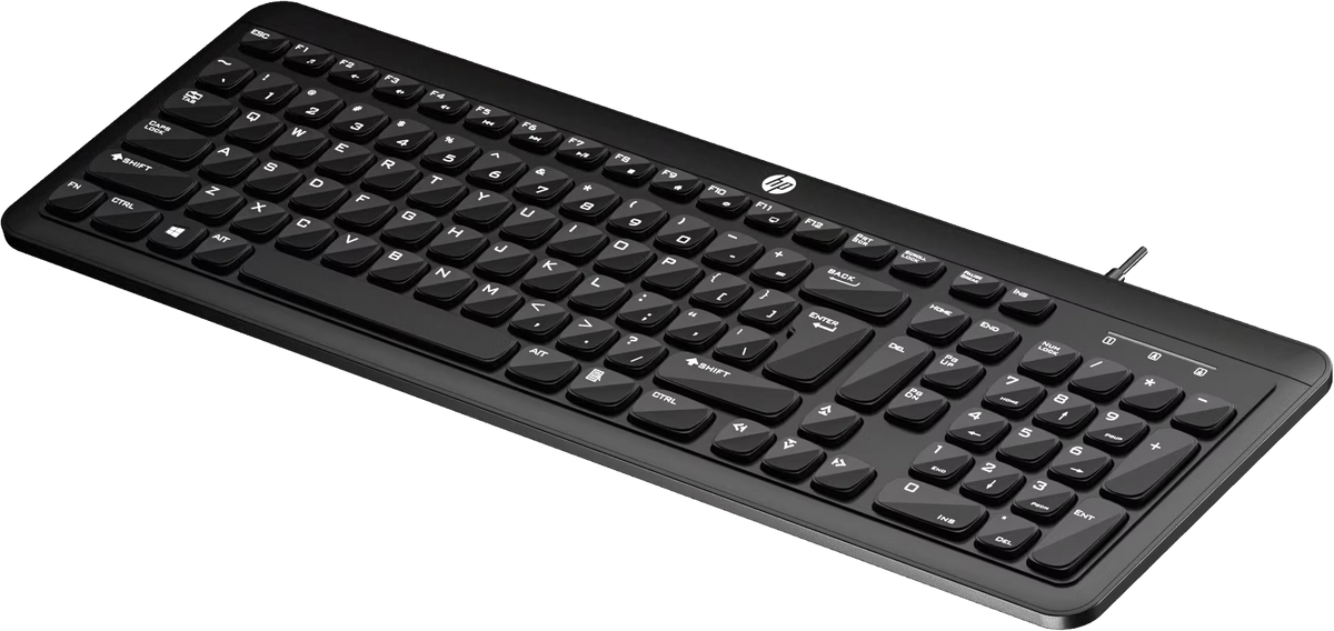HP K160 Wired USB Keyboard — Full-Size | Chiclet Keys | Spill-Resistant | 12 Fn Shortcut Keys | 3 LED Indicators | Plug & Play | 1-Year Warranty (9Z4V7AA#ACJ, Black)