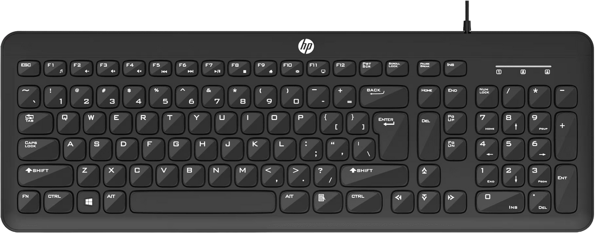 HP K160 Wired USB Keyboard — Full-Size | Chiclet Keys | Spill-Resistant | 12 Fn Shortcut Keys | 3 LED Indicators | Plug & Play | 1-Year Warranty (9Z4V7AA#ACJ, Black)