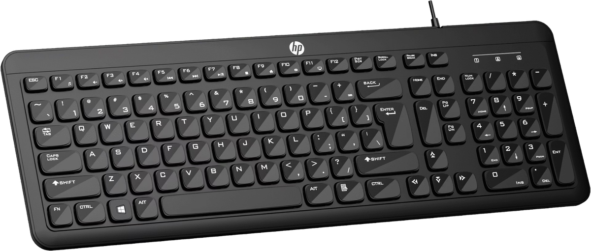 HP K160 Wired USB Keyboard — Full-Size | Chiclet Keys | Spill-Resistant | 12 Fn Shortcut Keys | 3 LED Indicators | Plug & Play | 1-Year Warranty (9Z4V7AA#ACJ, Black)