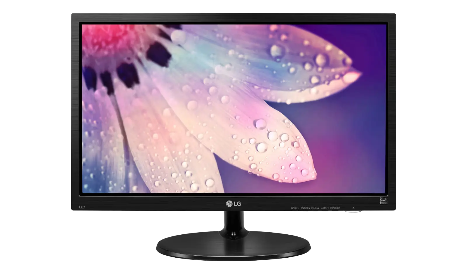 LG 19M38LB 19-inch HD LED Monitor (Black)