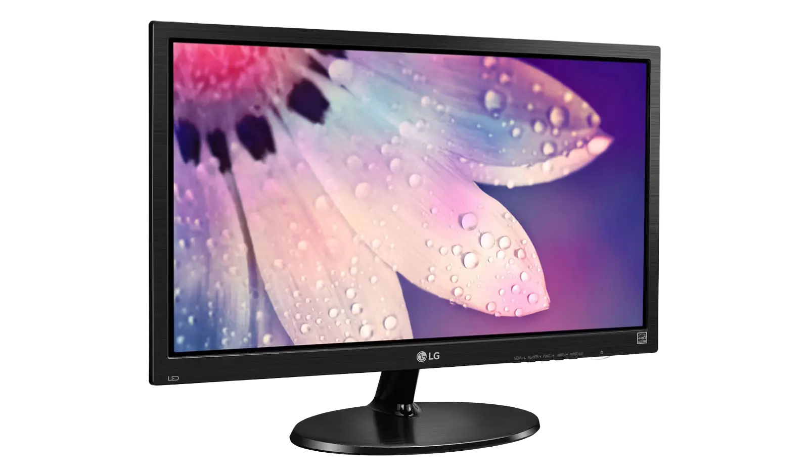 LG 19M38LB 19-inch HD LED Monitor (Black)