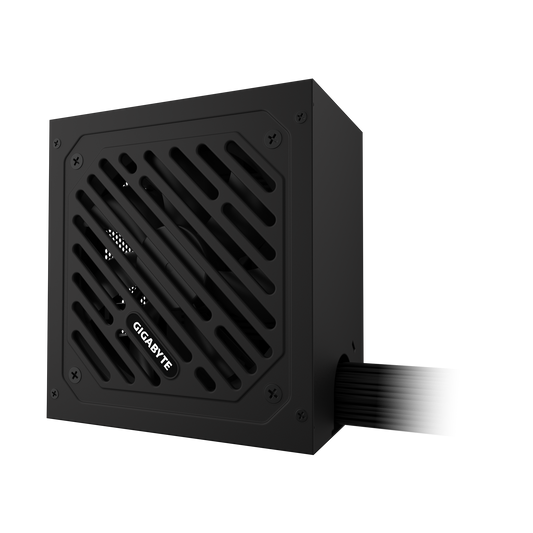 Gigabyte P650 SS Power Supply