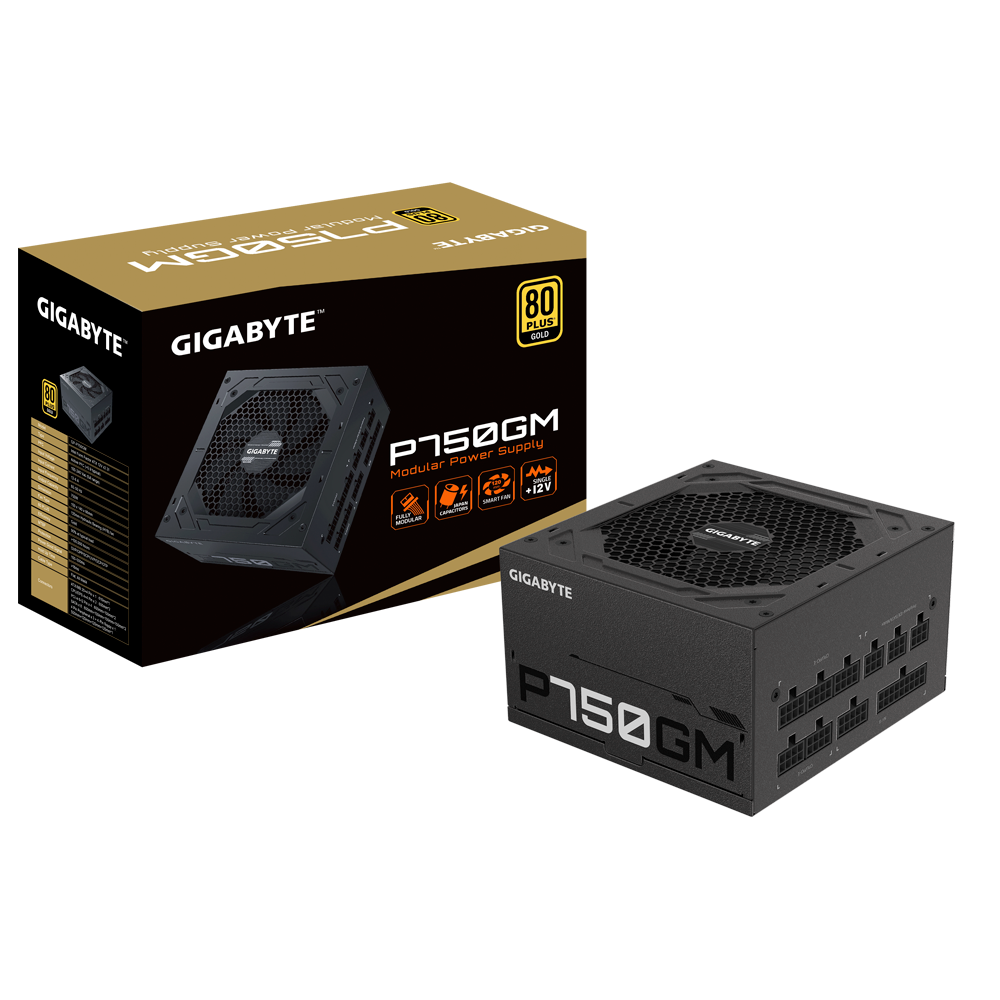 Gigabyte P750GM Power Supply